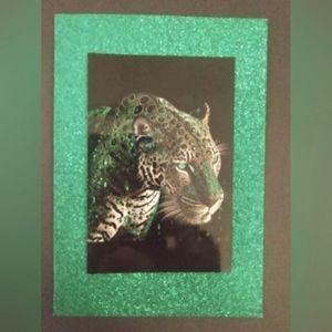 (3 diff) Leopard portraits